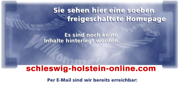 schleswig-holstein-online.com